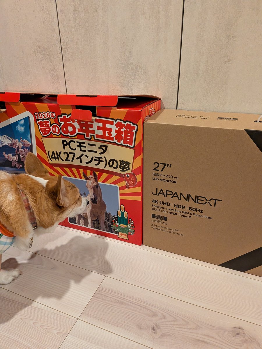 ヨドバシ　お年玉箱 ヨドバシ #お年玉箱 #4K27インチの夢 はJAPANNEXT製。