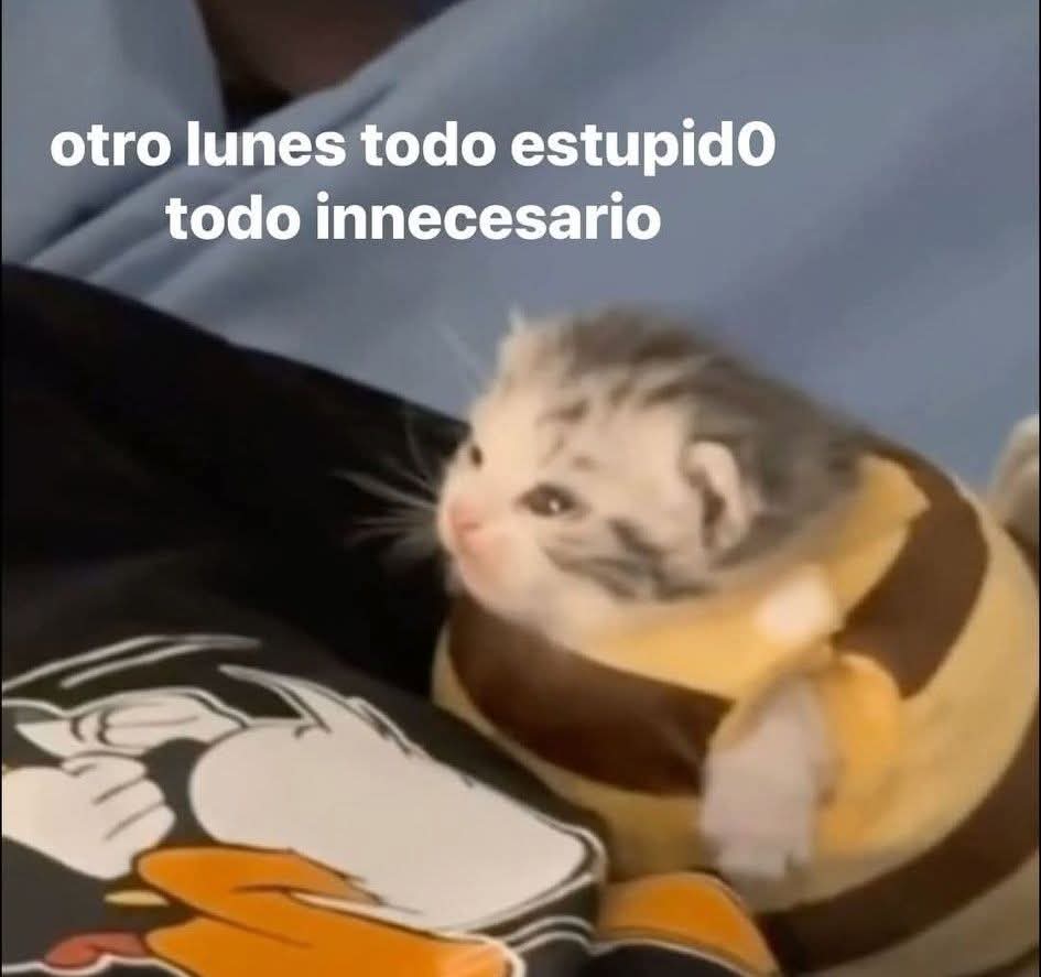 En Júpiter tweet media
