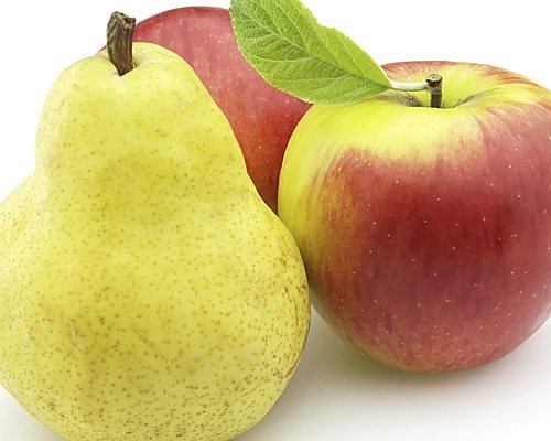 Fundación Renal Española tweet media