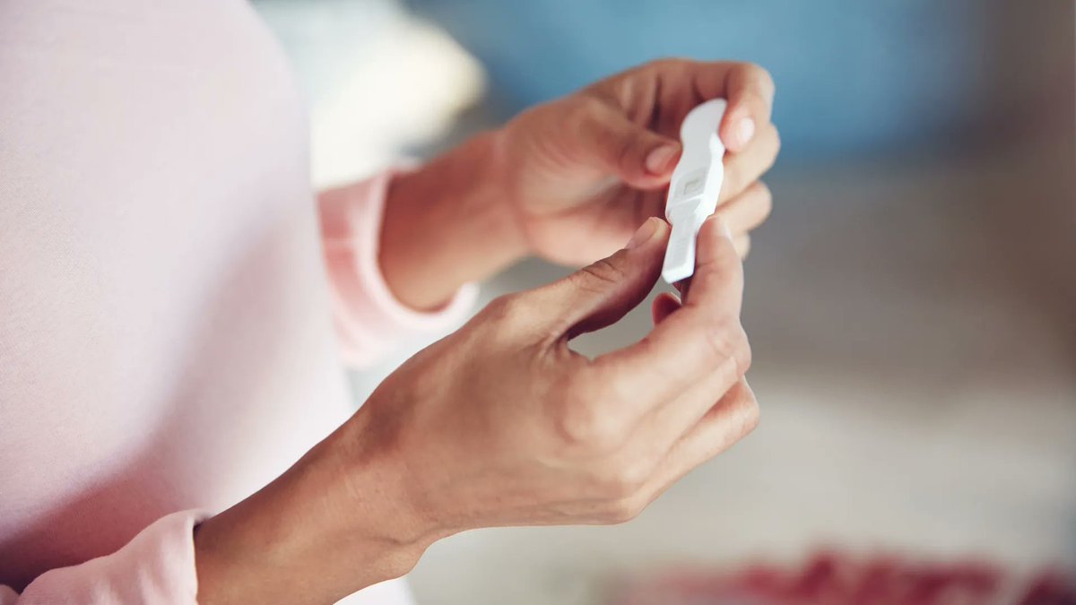 ParoleFertili tweet media