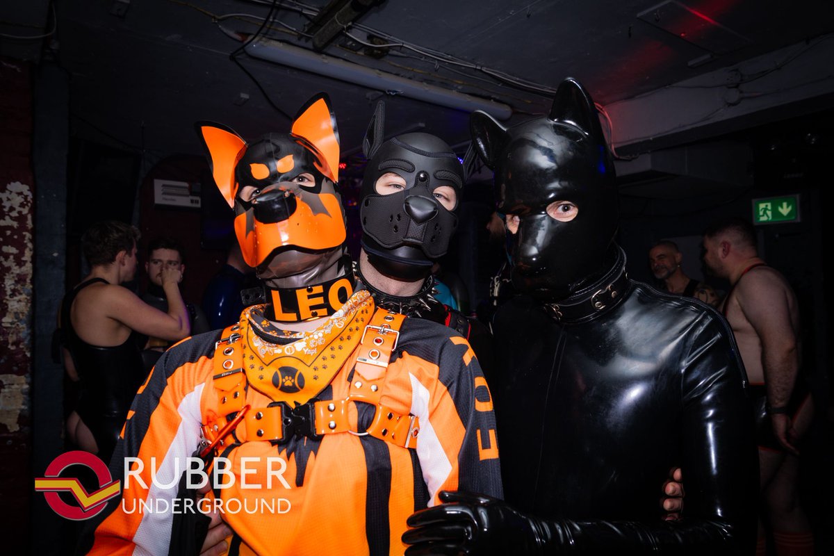 Rubber Underground tweet media