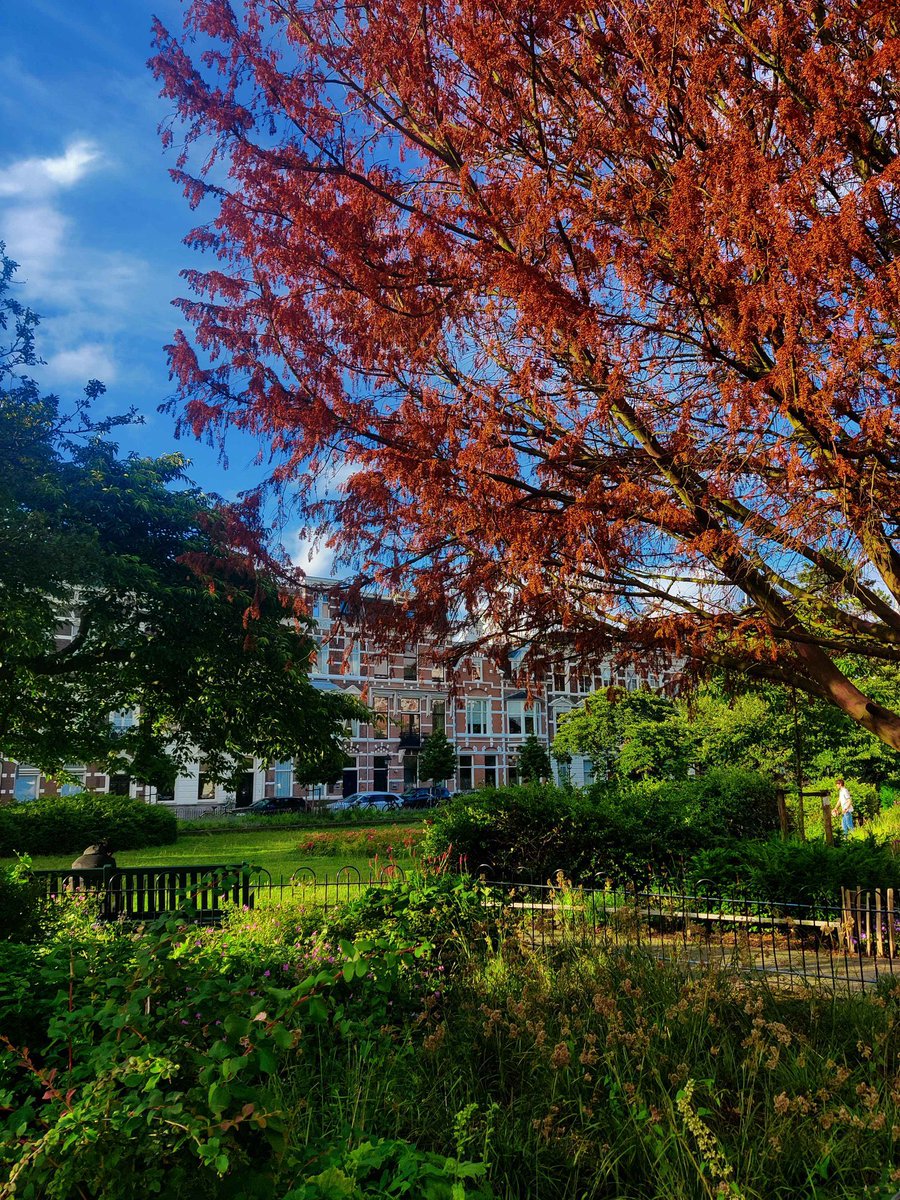 naklecha tweet media