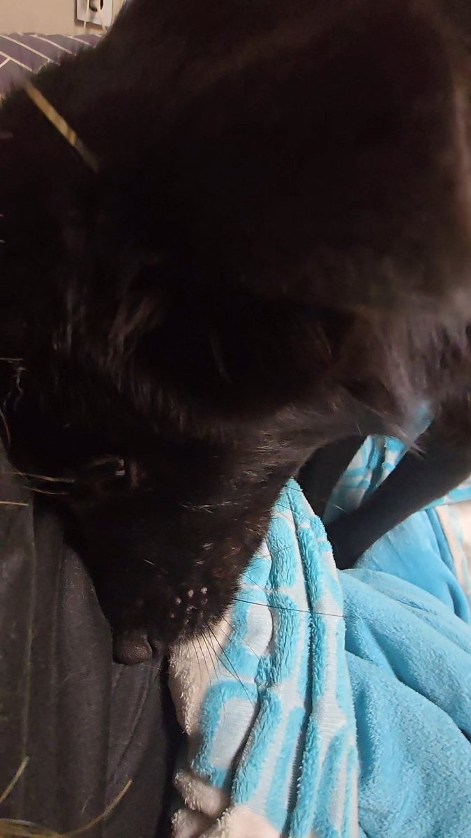 함께였던 단비가 입양가고 없어서 그런가 오늘따라 더 앵기는 리즈ㅜ 우리 짠한 리즈 문의가 하나도없어요.. 임보누나가 리즈도 단비따라 가족찾아줄게 조금만 더 기다려보자🥺

리즈/남/17kg/중성화,접종완료/아주건강함!/분리불안,헛짖음 없음