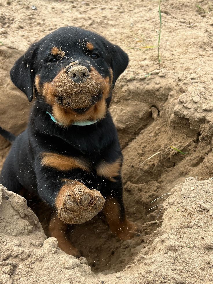 itimaliasof's tweet image. 