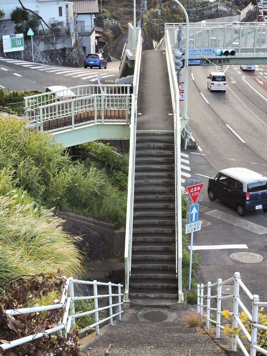 かめ (@kame__0877) / Posts / X