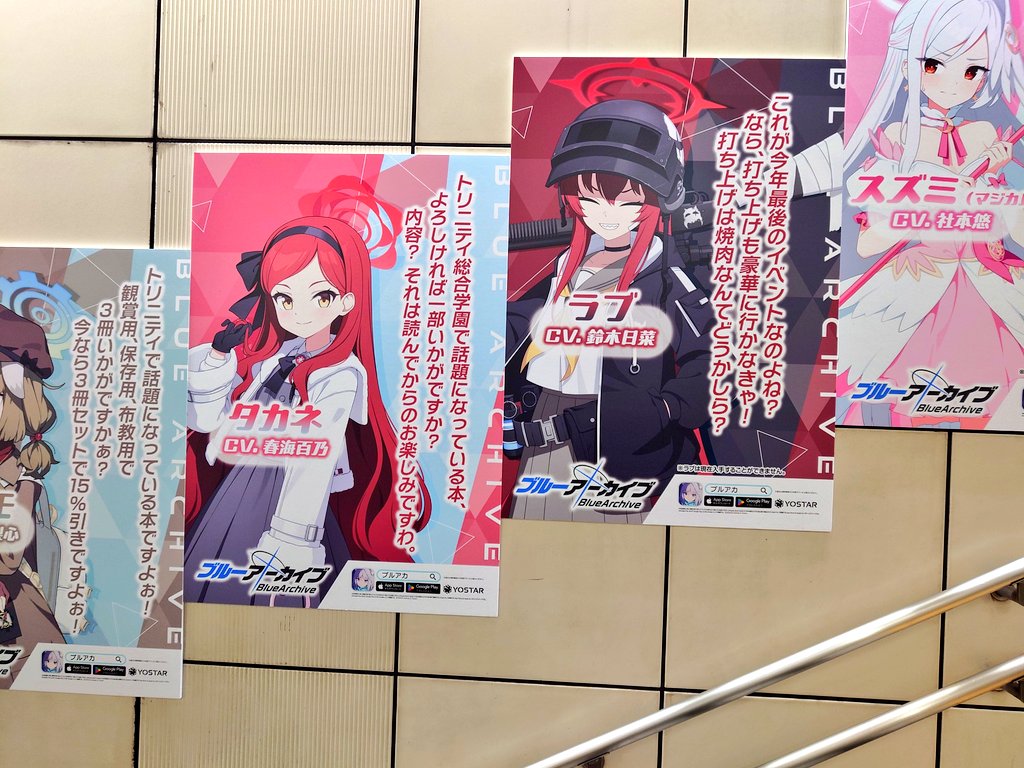 ブルーエンバー　50cmオーバー　選抜株　極太 9cbd5c51f36805899b01bd2dae29e4