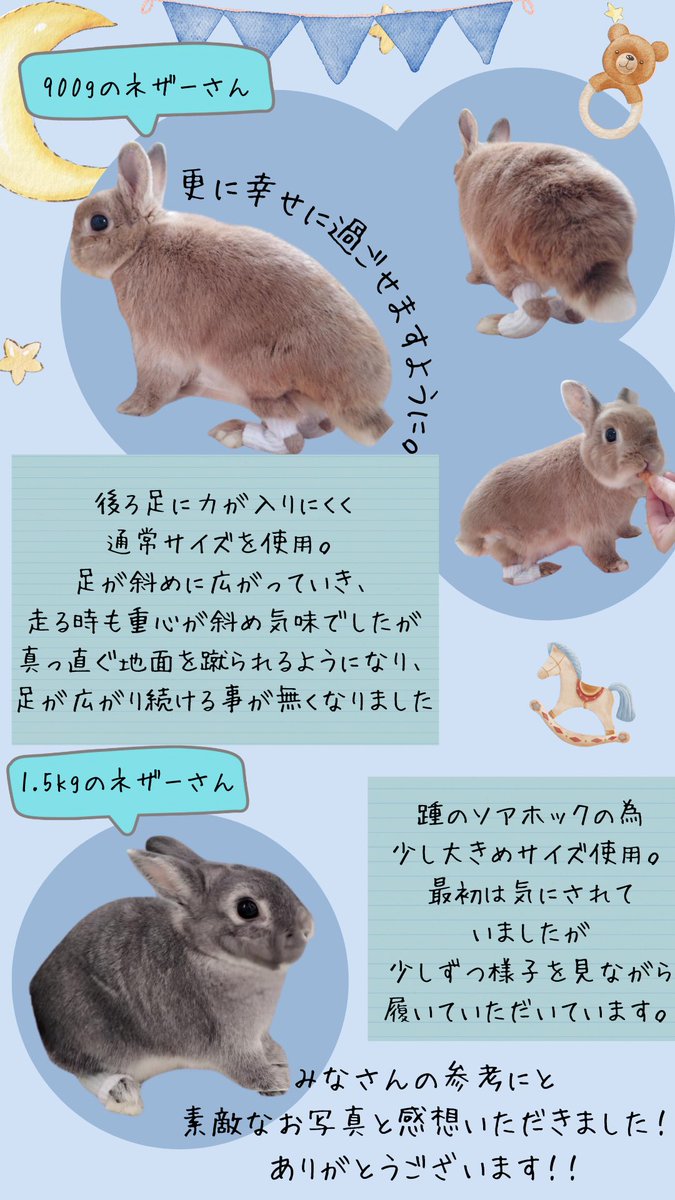 #うさぎのたからもの
みなさんのためにと画像やご感想いただきました。
ありがとうございます😊
更に幸せに過ごせますように。
