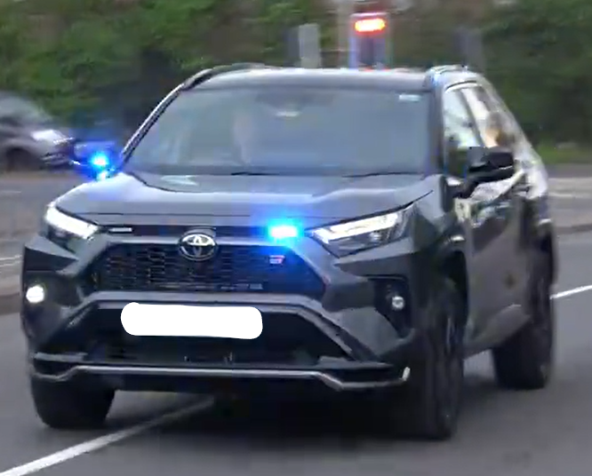 SCAS BASICS tweet media