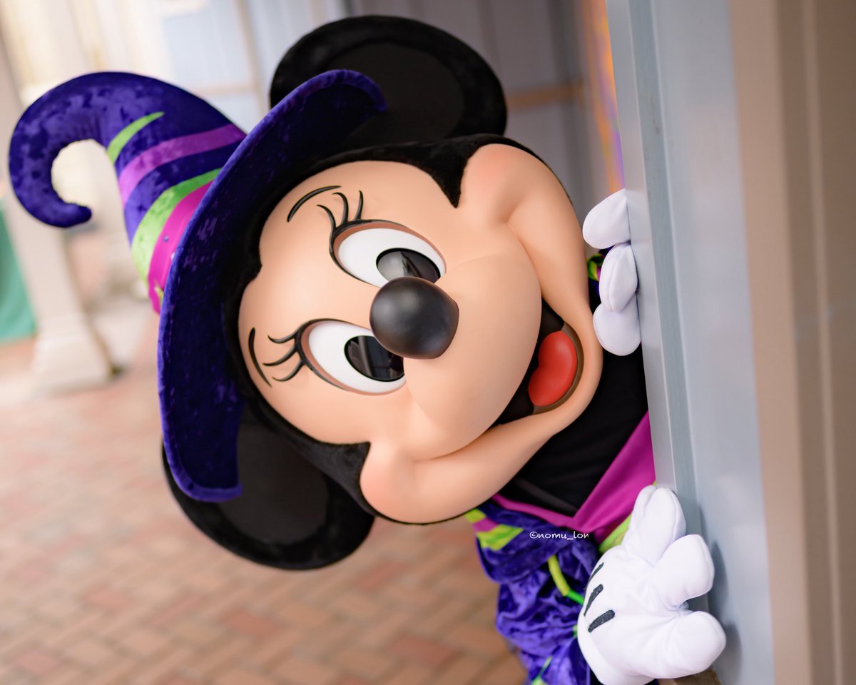 2025年自分が選ぶ今年の4枚 ミニーちゃんにたくさん会えて幸せだった🥺✨