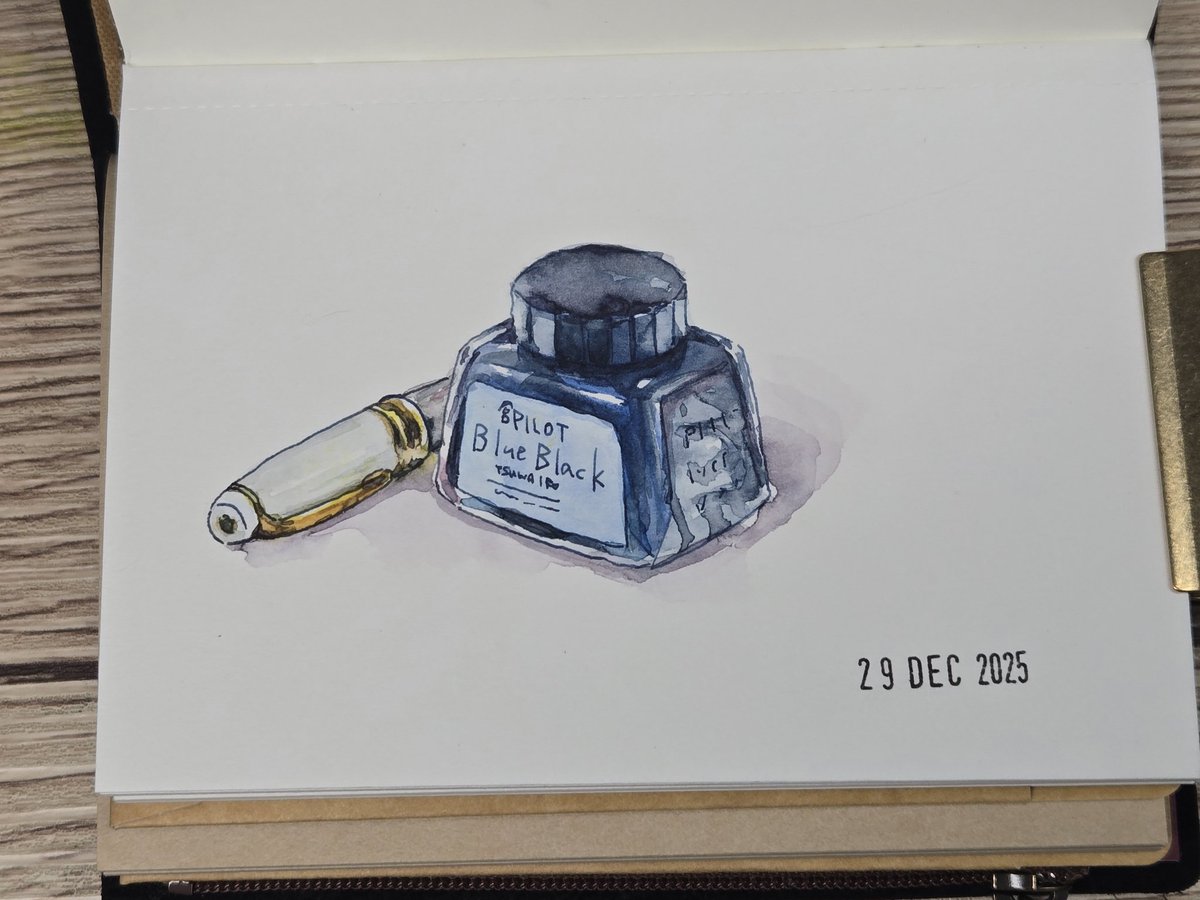 久しぶりにお絵描き🔏 パイロットのインク、強色(TSUWAIRO)が本当に