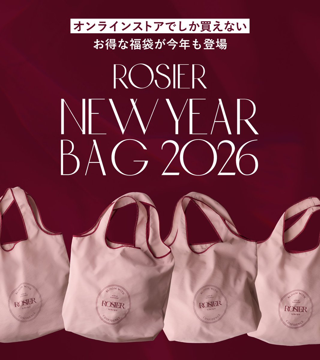 her lip to 2026福袋　本日発送 HLT 