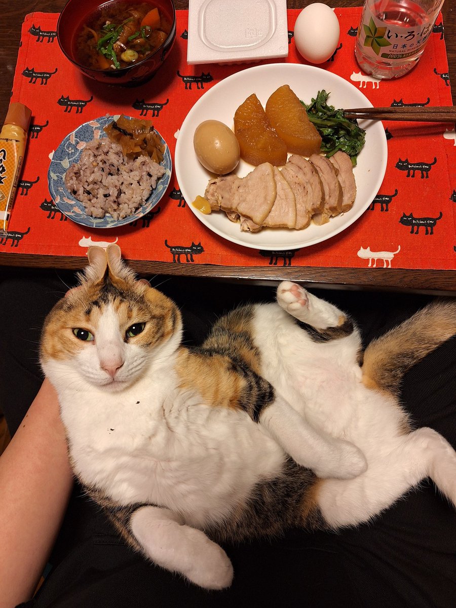 kawaii_nekoniko's tweet image. 豚角煮風たべました