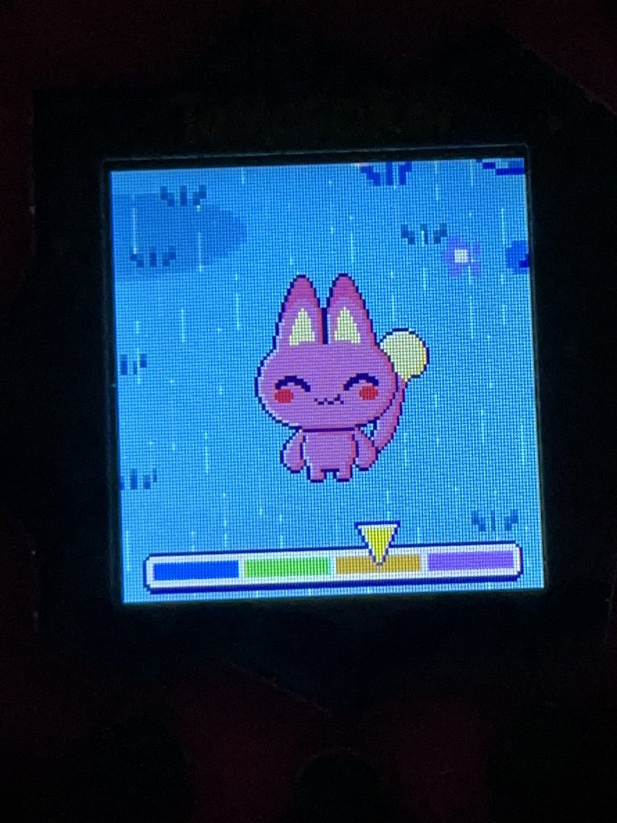 ピンクの猫ちゃんになったよ🐈 アフロとボールプールで遊んでるの可愛い