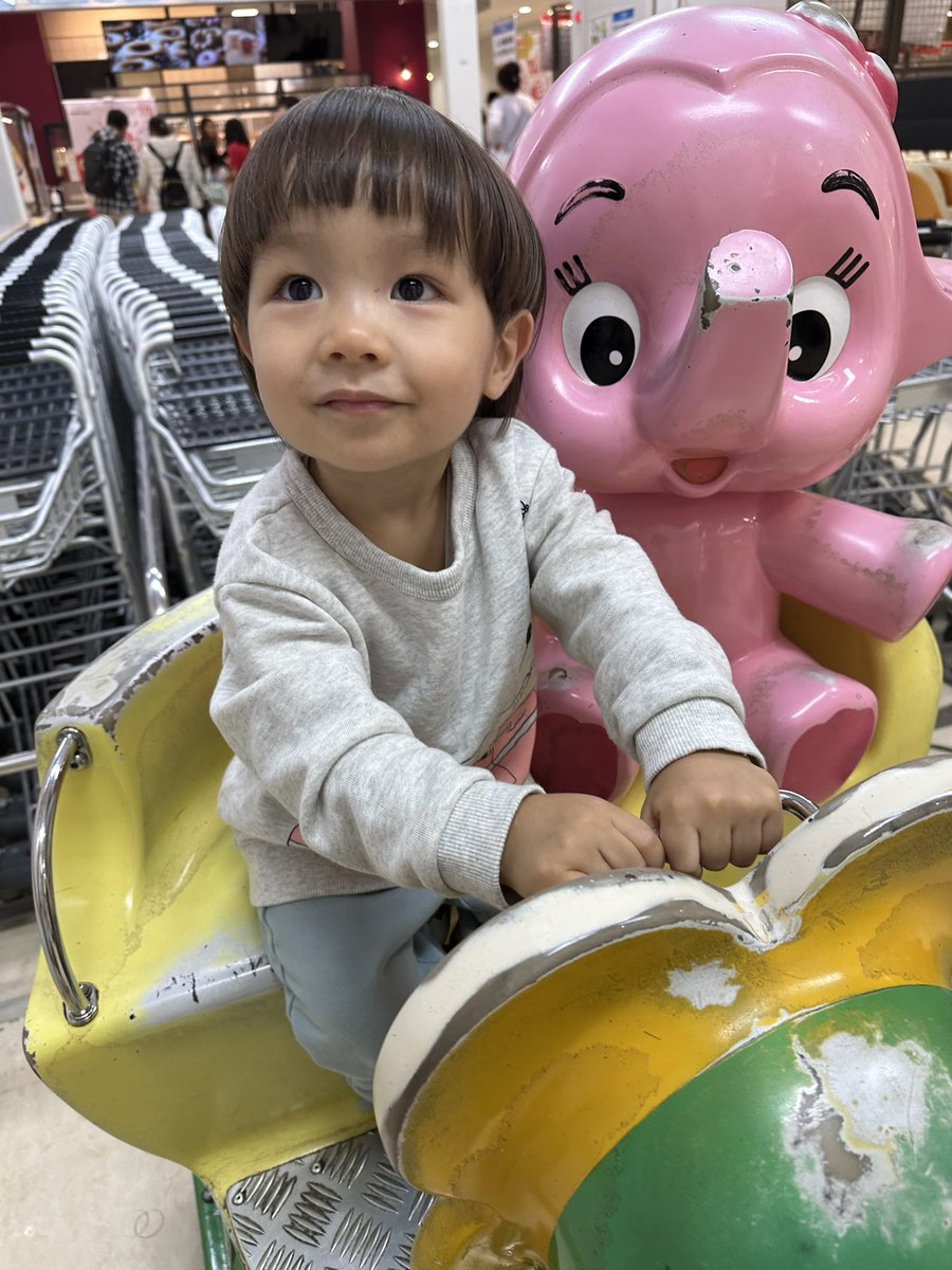 ひっちゃん@ハイサイ探偵団 (@hittyaso) / Posts / X