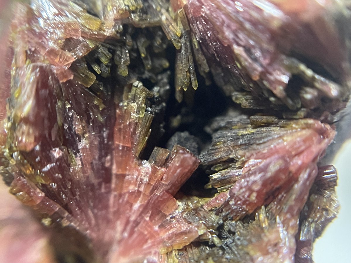 stellar_chaton's tweet image. 発色、景色共に良好なクリノチューライト

机の上に並んだ商品を選んでいたら奥からピンポイントにツボにハマるものを出してくれたのでトレーから戻せなくなりました。