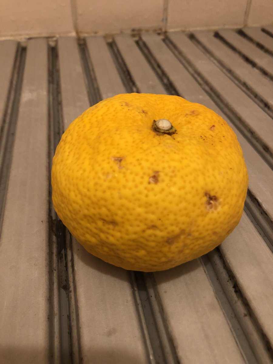 ケンタッキー (@GL3FPY7icWwB1w0) / Posts and Replies / X