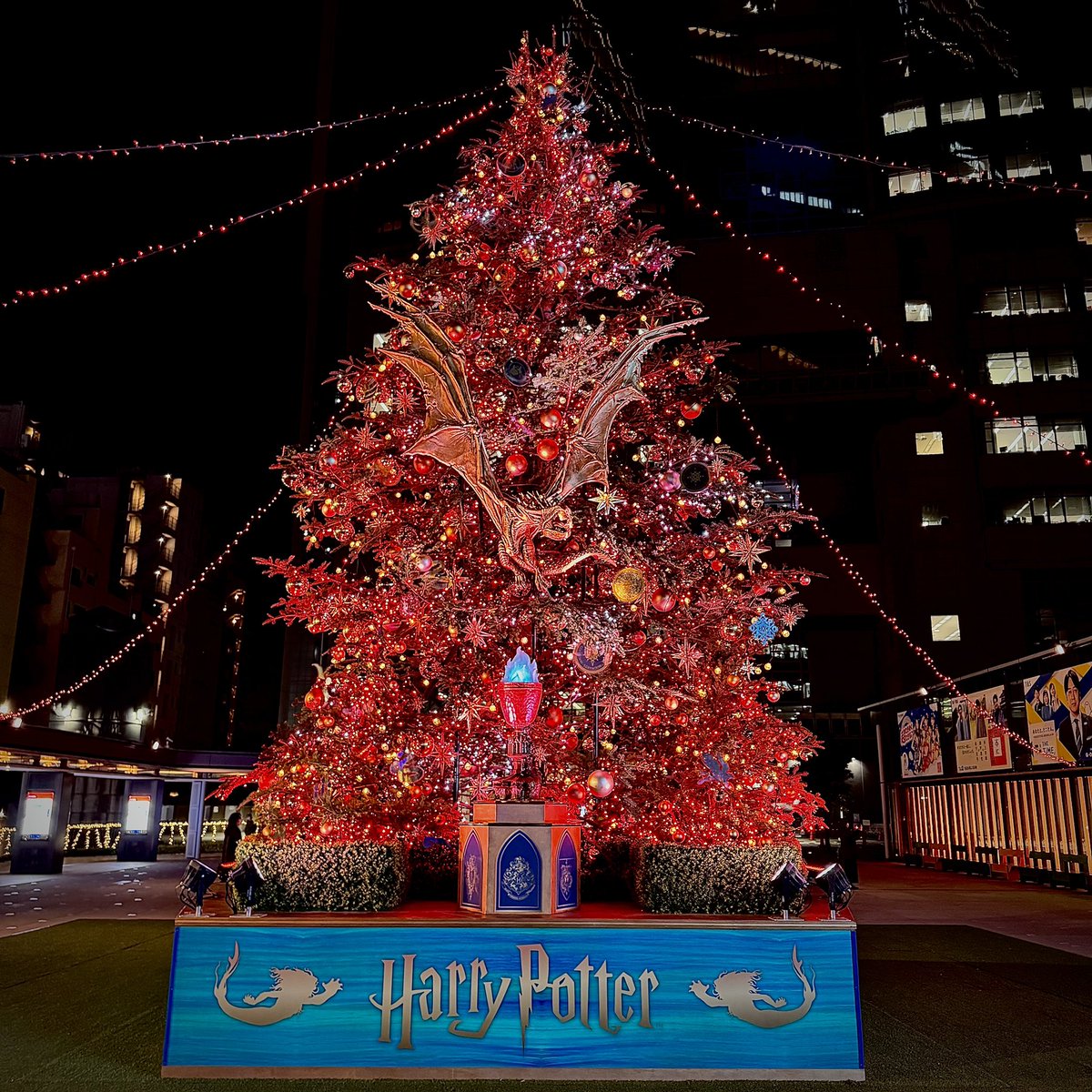 赤坂のクリスマスツリー見に来た！🎄
#HarryPotter