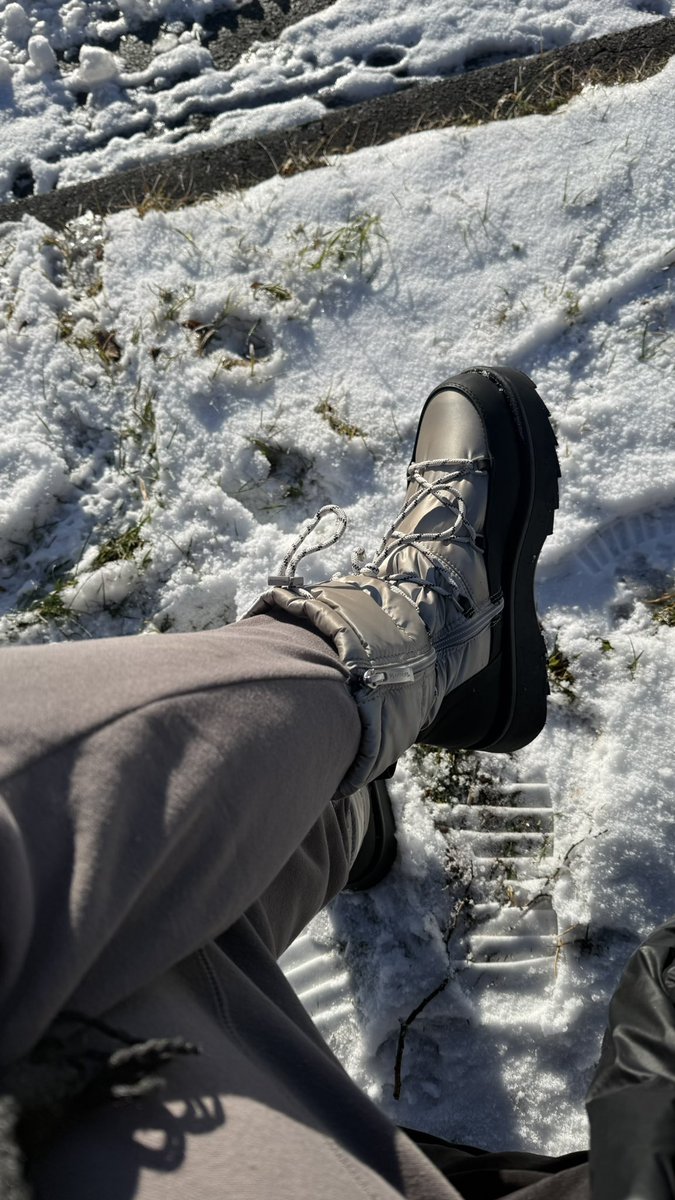 Jexara_'s tweet photo. Komm Fiffi! Mach einen Schnee-Engel für mich!

Danach drück ich nochmal schön dein Gesicht in den Schnee und pack dir ne ordentliche Ladung in deine Unterhose ! 😂 https://t.co/WprW0ESdVR