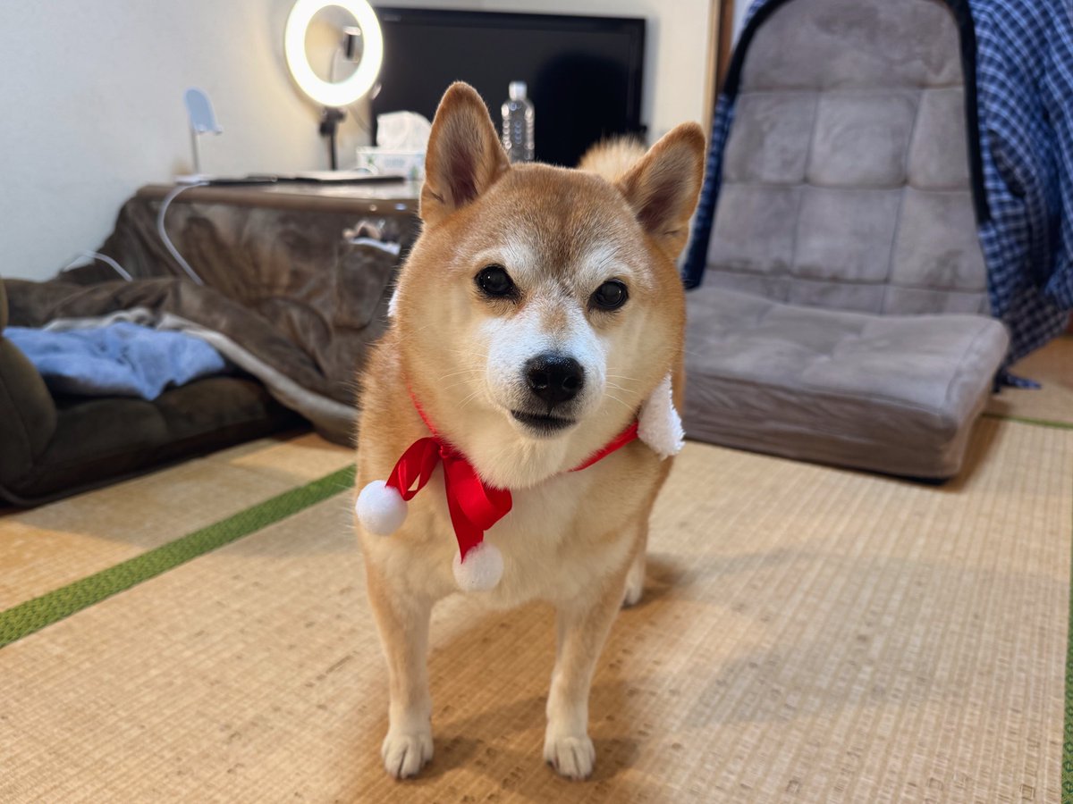 絶望ライン工 (@zetsubouline) / Posts / X