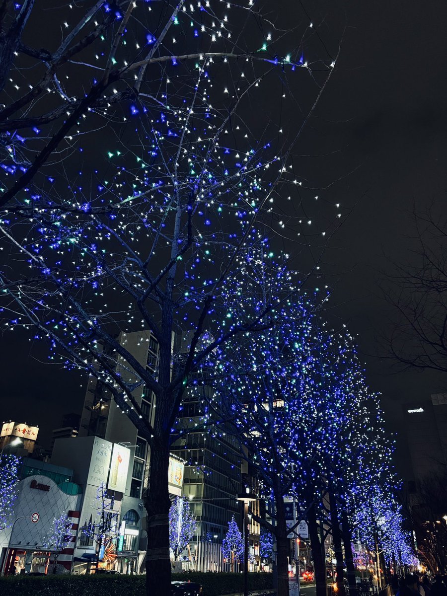 黒田大夢 tweet media