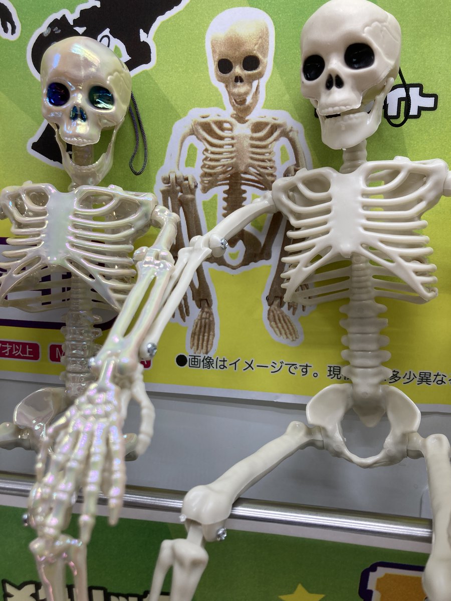 景品入荷情報】 「カクカクガイコツフィギュアDX」当店、GiGO沼田に