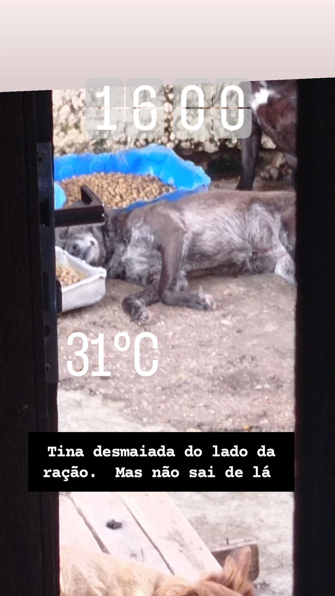 Wborgesprotecao's tweet image. Precisamos de 213 amigos nos ajudando com R$10 pra fechar o mês dezembro .
Pix CPF 077.469.026-77 Walisson