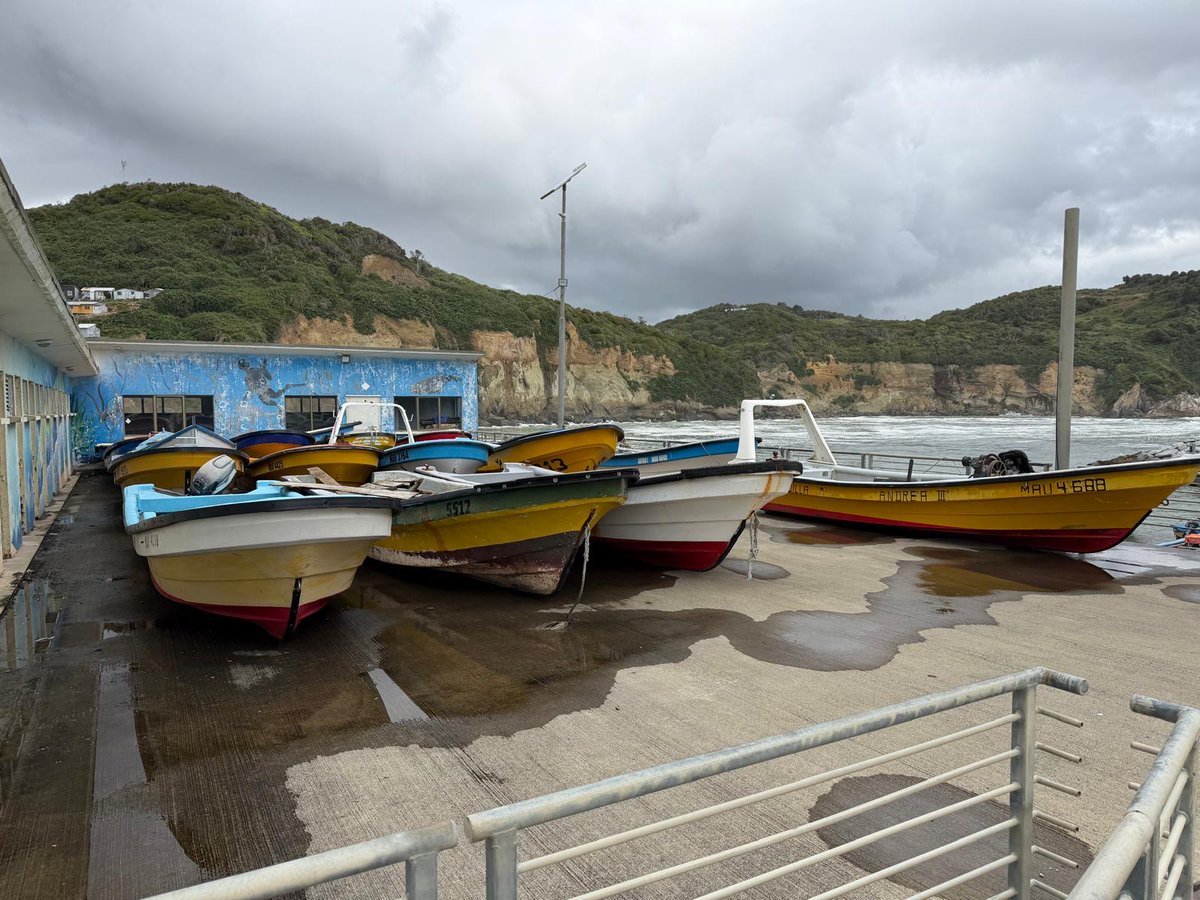 Red Iberoamericana de Pesca Artesanal tweet media