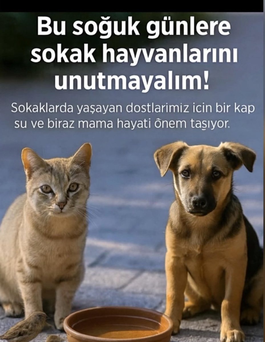 nestor (@burkaydemir) on Twitter photo 