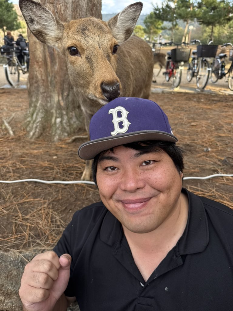 【ご報告】
年内最後の奈良公園パトロール異常無し。
中国人から鹿さんを守る為に始めた活動も一年五ヶ月継続しました。
最近は中国人観光客が減り鹿さんへの暴力行為が無い平和な日々が続いています。
来年もこの子たちをお守りします。