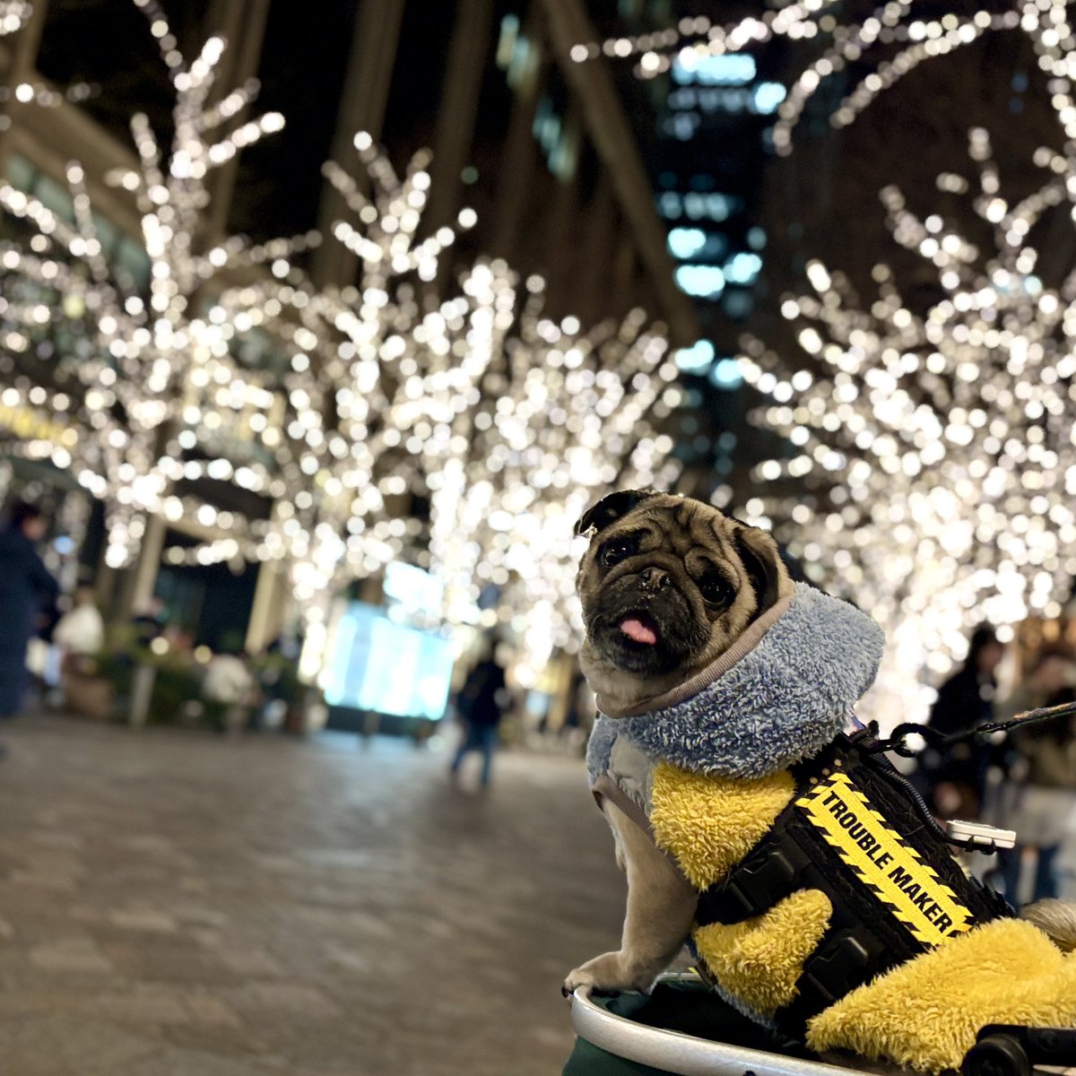 パグ Relaxステッカー | Pugnap│オンラインストア