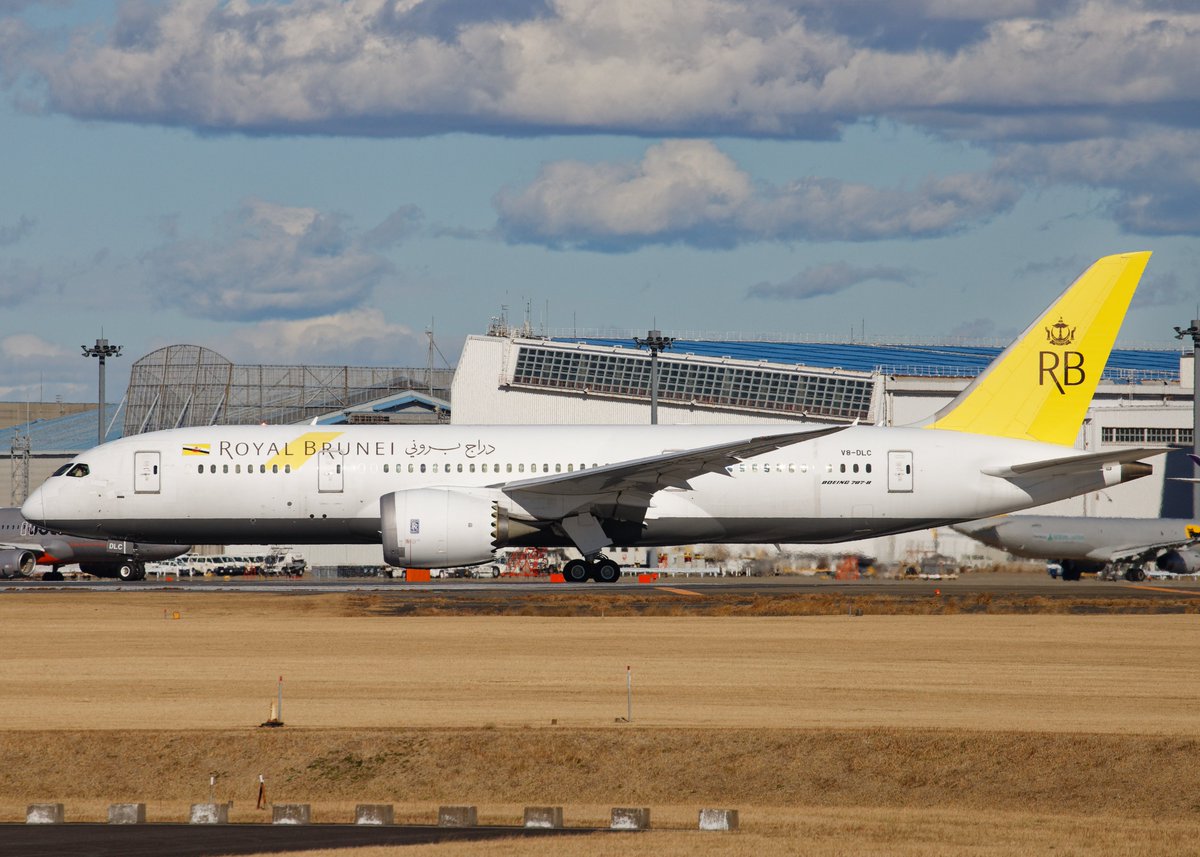 てつもん 写真館 tweet media