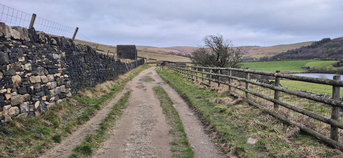 Mat Anderson 🤍💙 tweet media