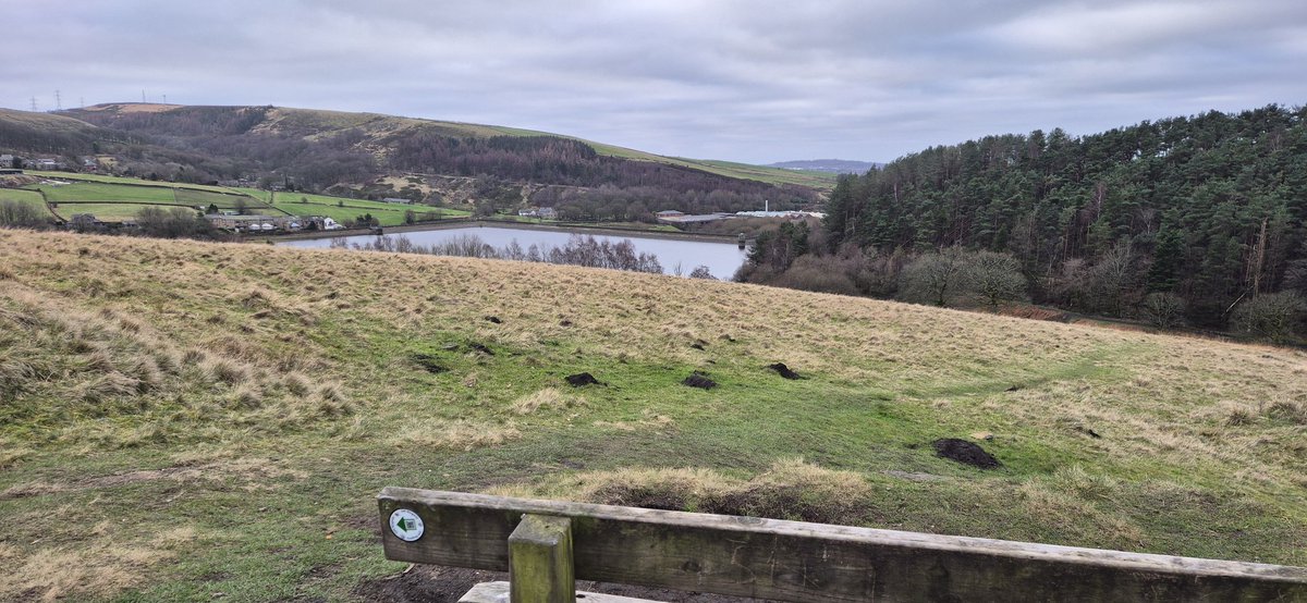 Mat Anderson 🤍💙 tweet media