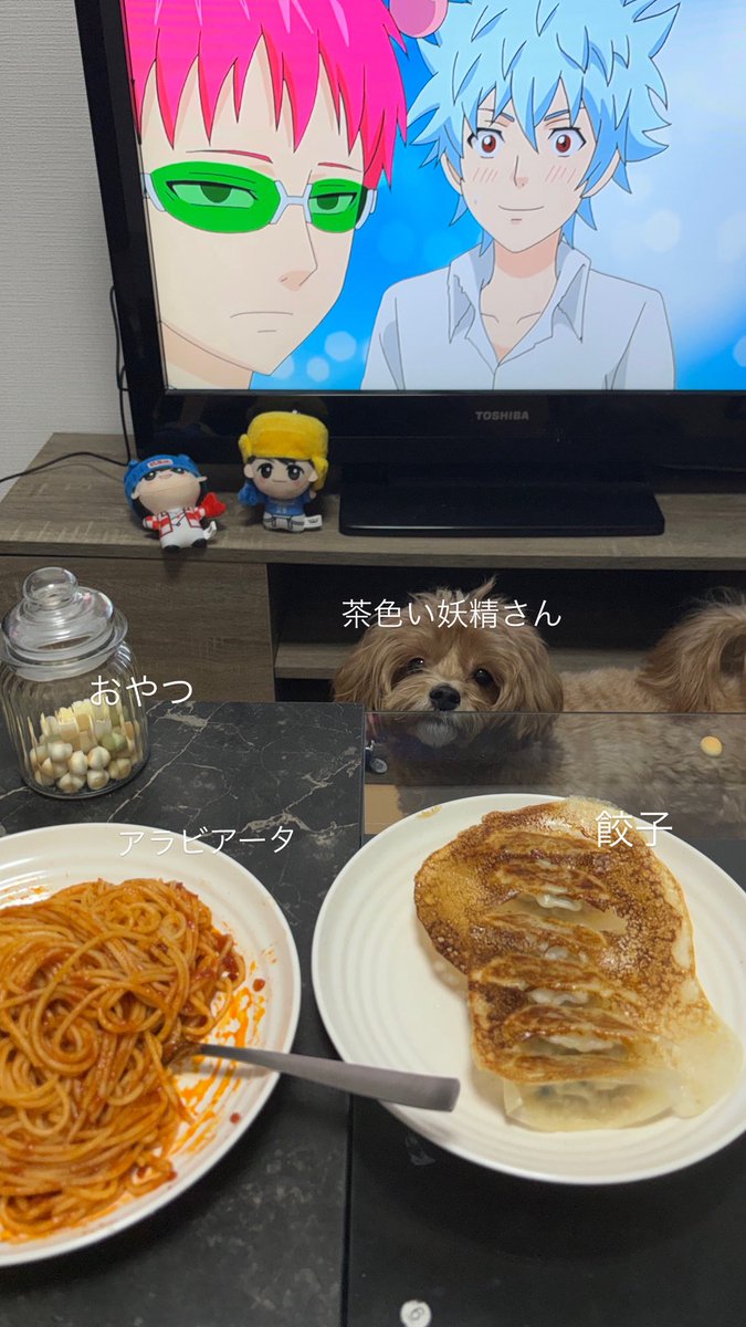 1993_sg's tweet photo. うちも一人暮らし始めたからやってみた
 #犬のいる暮らし https://t.co/hTDIaCbsUP