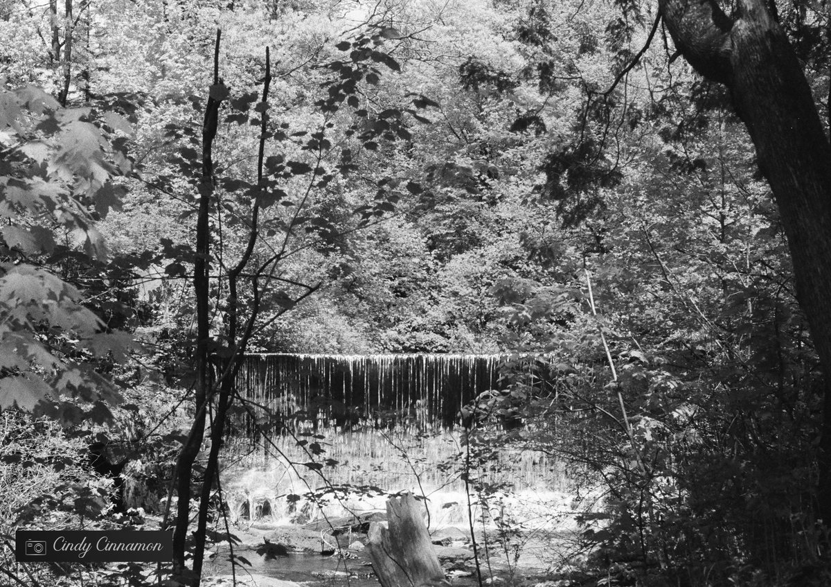 Cindy_Cinnamon's tweet photo. Il y a des paysages tellement beaux au Quรฉbec vous ne trouvez pas?
Cindy Cinnamon Photographie
https://t.co/g7SV9Jswl2
Pentax K1000
Ilford SFX 200
#Nature #HoyaFilter #Pentax #IlfordSFX #35mm #Infrared #bnw #IlfordFilm #IlfordPhoto #RedFilter #Hoya #Charlesbourg #Canada https://t.co/ZgyuQRrDvi