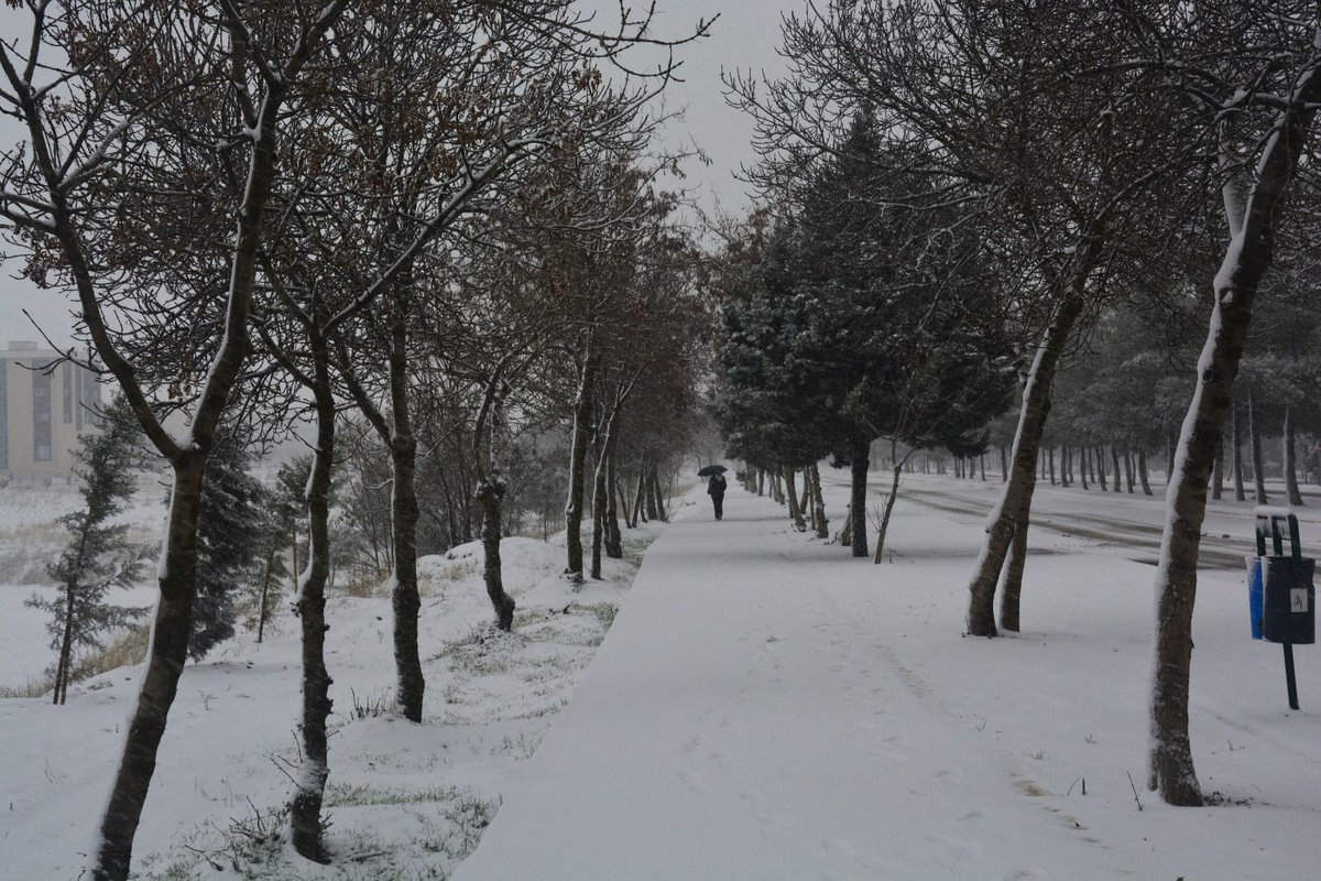 Diyarbakır’da etkili olan kar yağışı, Üniversitemiz kampüsünde kartpostallık görüntüler oluşturdu.

#DicleÜniversitesi