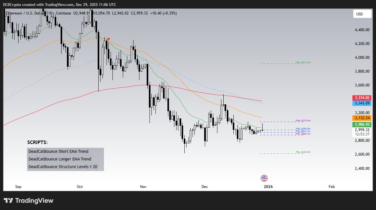 Dead Cat Bounce tweet media