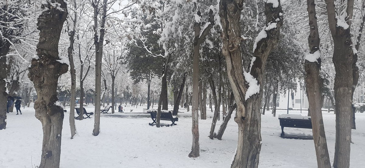 Zero Earth (@zeroearth974) on Twitter photo 