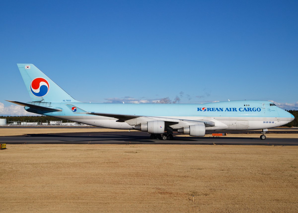 てつもん 写真館 tweet media