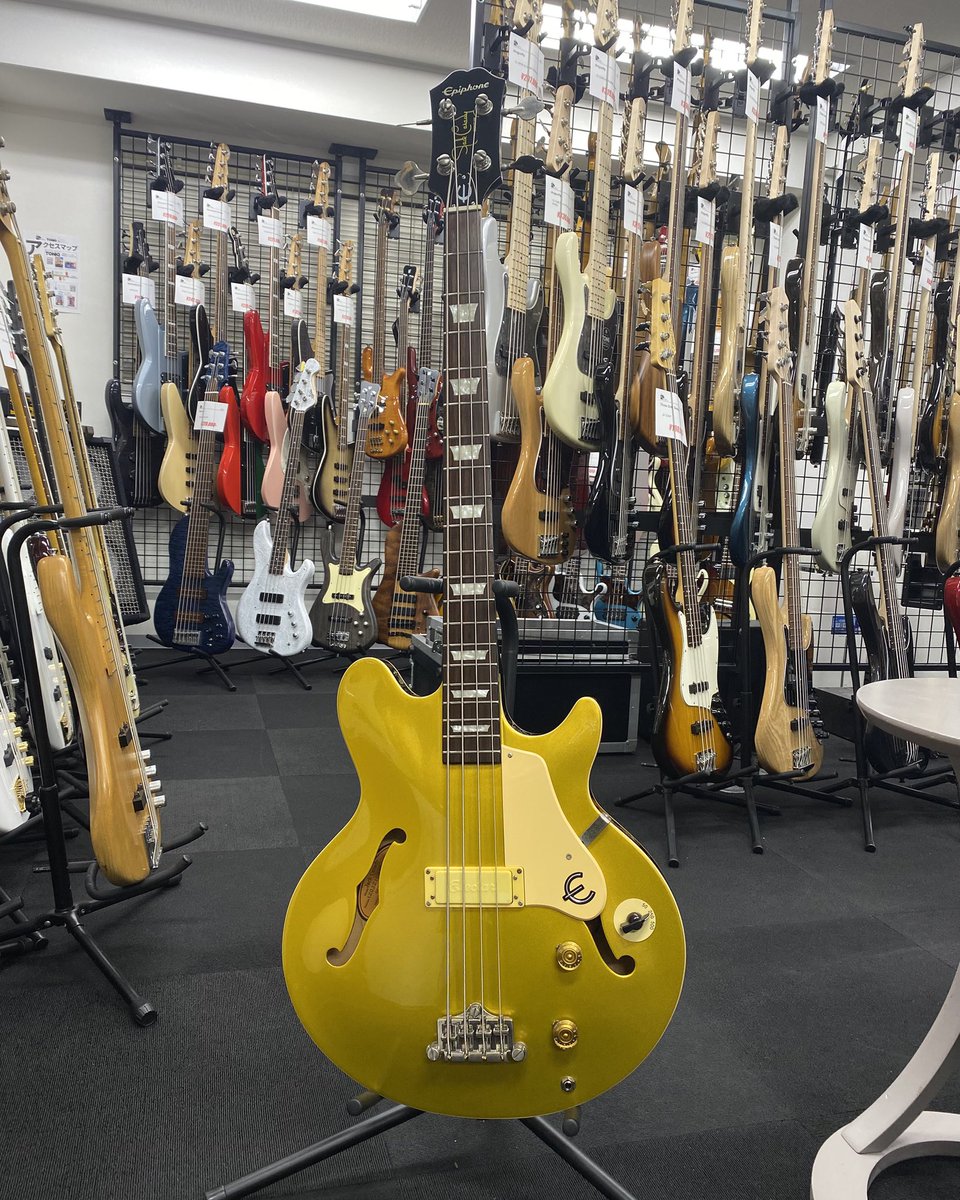 Epiphone Jack Casady Bass Gold 入荷しました！ アコベのような温かい