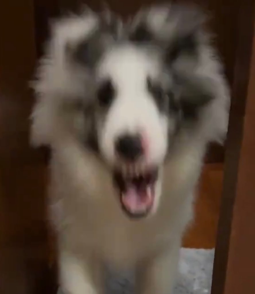 ใจเย็นๆๆๆๆ