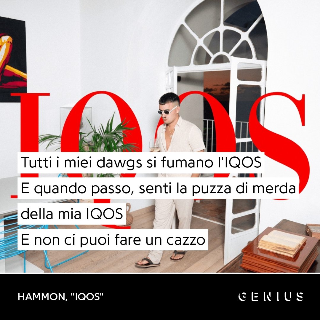 GVNG ZONE tweet media