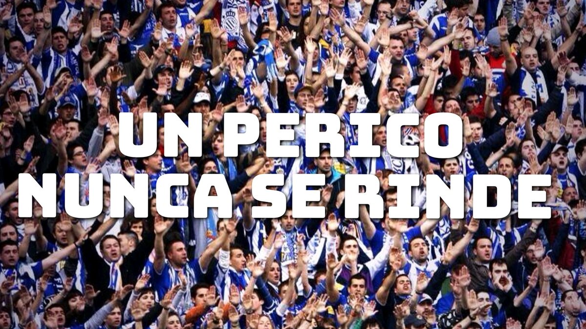 Pedro Grimalt (@pedrogrimalt7) on Twitter photo 