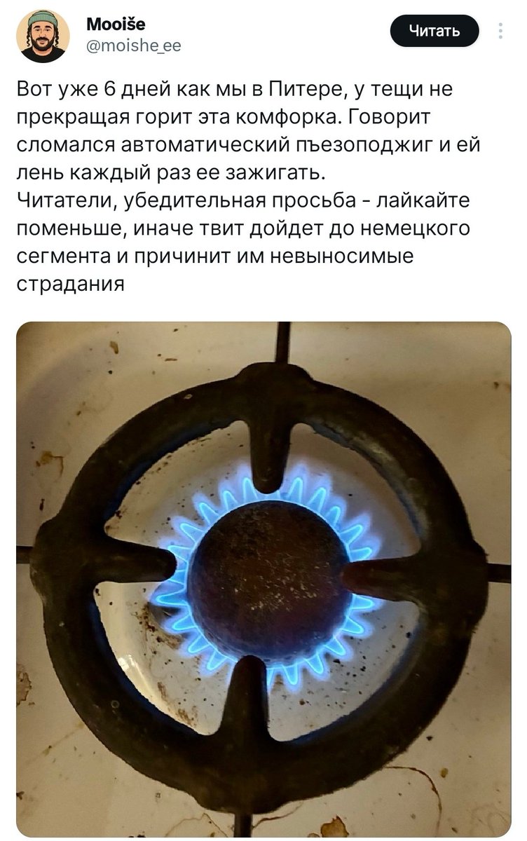 Ноющая Булочка tweet media