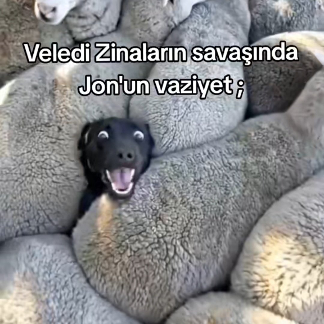 doktordoof's tweet photo. Boşluğuma denk geldi ya https://t.co/SNMyGpwNx8
