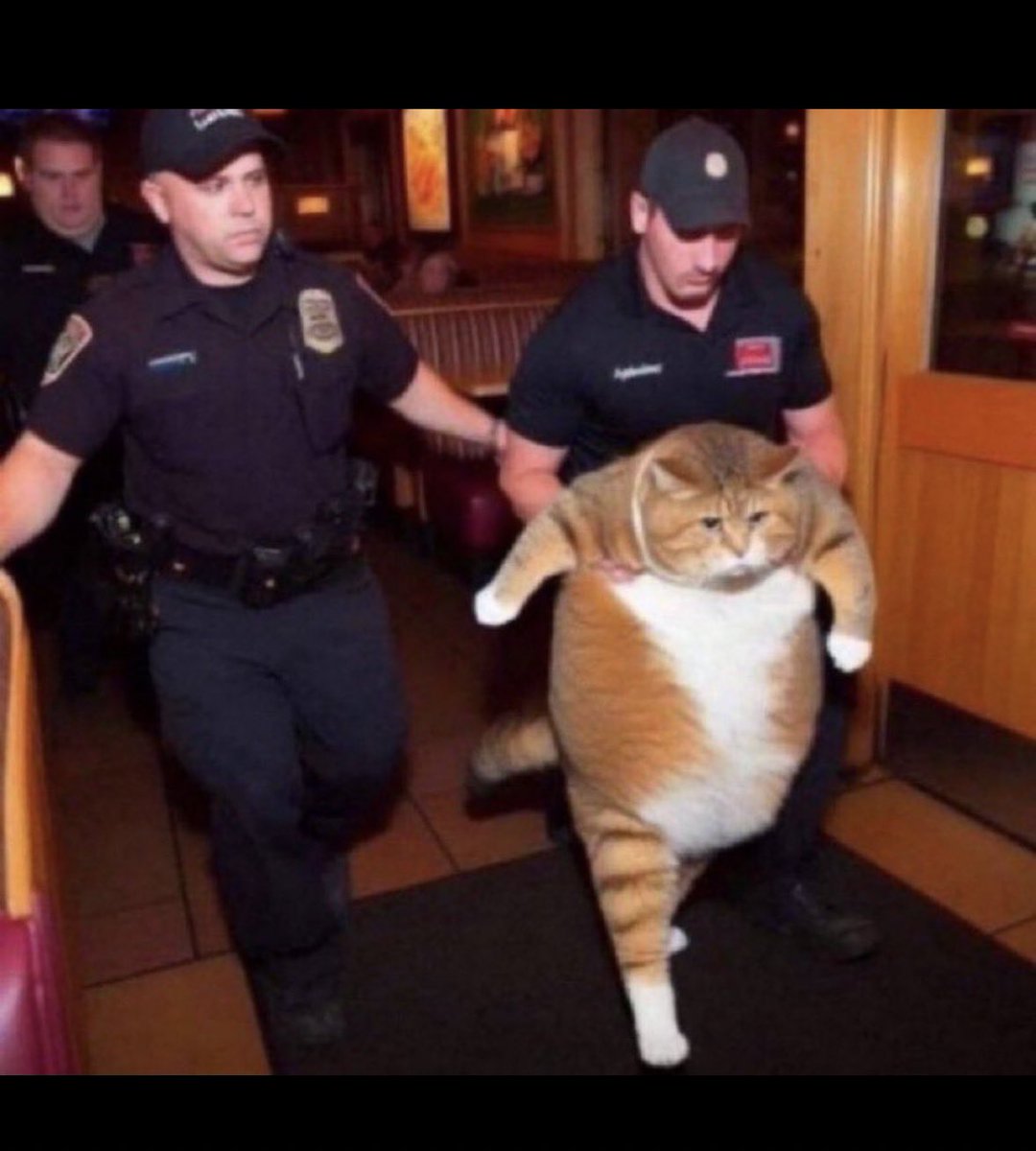 اسمع والله انا مغترب