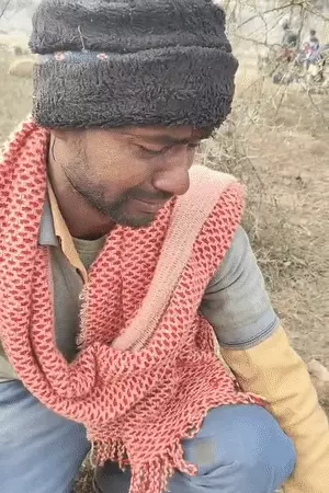 askrajeshsahu's tweet photo. लखनऊ में राष्ट्र प्रेरणा स्थल के पास आज 170 भेड़ों की मौत हो गई। 25 दिसंबर को इस स्थल का पीएम मोदी ने उद्धाटन किया था। उद्धाटन समारोह के कार्यक्रम में जो खाना बचा था, उसे फेंक दिया गया था। इसे ही खाने के बाद भेड़ों की मौत हुई है।

भेड़ चराने वाले ने कहा- भेड़ों ने जब फेंका हुआ खाना खाया तो थोड़ी ही देर में वे चिल्लाने लगीं। धीरे-धीरे कर बेहोश होती गईं। सुबह तक में 170 भेड़ें मर गईं। इनके शरीर अकड़ चुके हैं। सुबह जब पूरे इलाके में शोर हुआ तो पुलिस पहुंच गई। पुलिस ने सरकारी मेडिकल टीम को बुला लिया। डॉक्टर इलाज कर रहे हैं।

पूरी खबरः https://t.co/TXuJVoLdaY