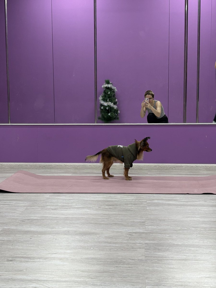 такмс такмс поза собака мордой в пол потом греем пиломчики все понели?