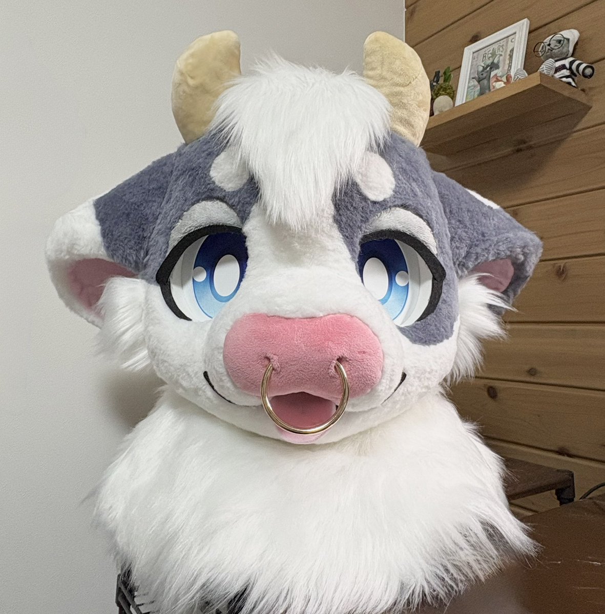 のんびりやのモコモコ牛のおとこのこ
ムーシュ🐮が生まれました〜！
これからよろしくね！🥛