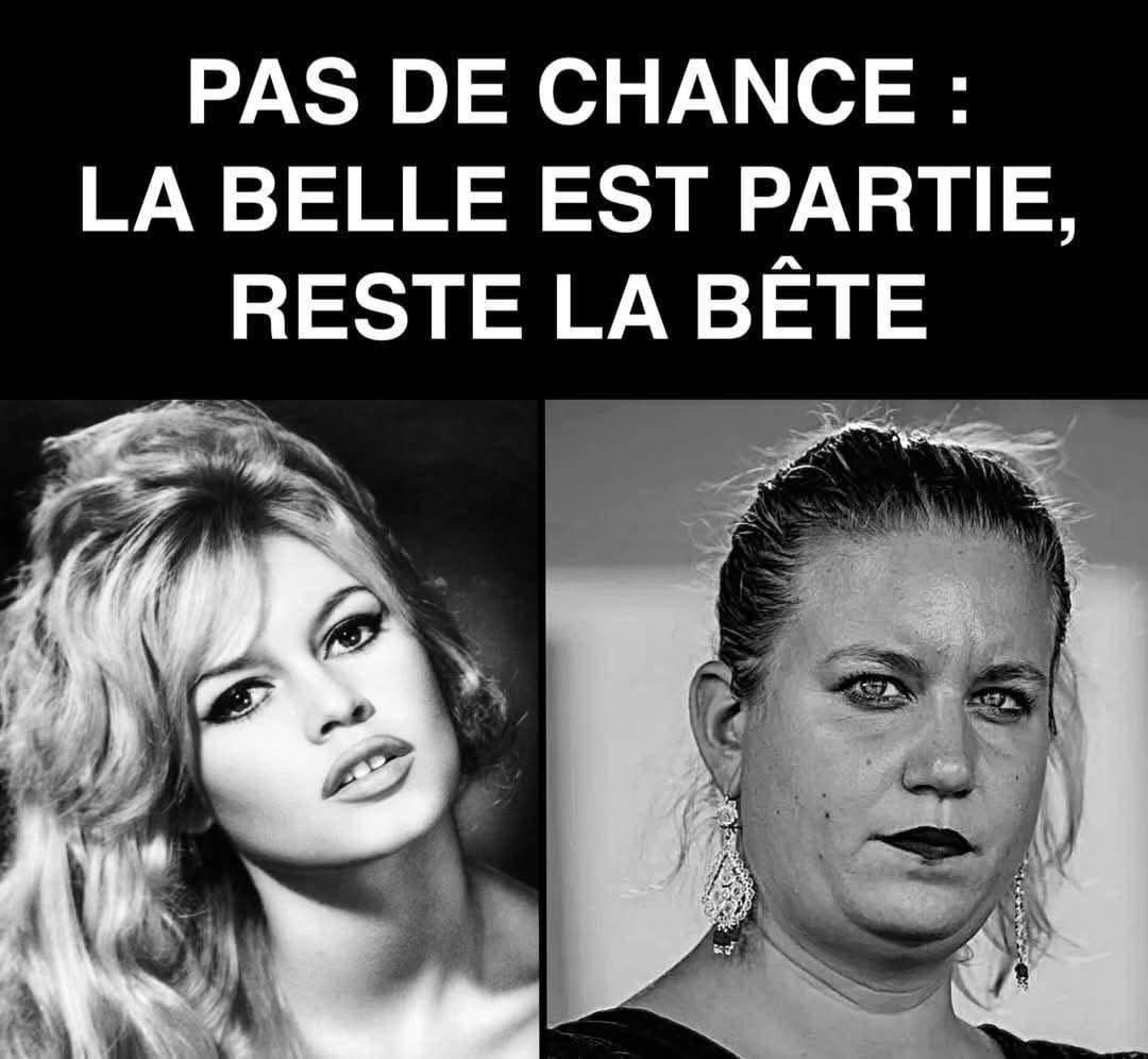 #BrigitteBardot vs #MathildePanot